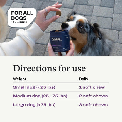 Transform Your Dog's Health with Premium Petlab Co. Probiotics - Delicious Soft Chews for Seasonal Allergy Relief, Gut Wellness, and Digestive Support