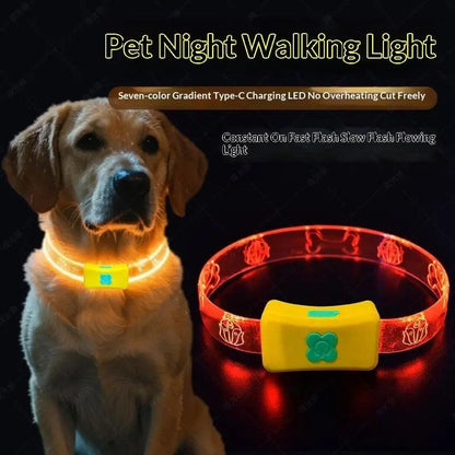 Illuminate Your Night Walks with Our Rechargeable LED Dog Collar - Reflective, Waterproof, and Adjustable for Every Pup.