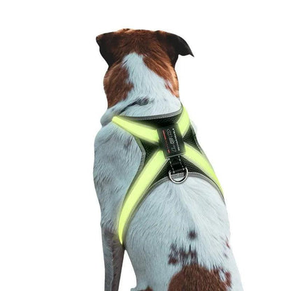 Illuminate Your Pet's Adventures: Color-Changing LED Dog Collar, Explosion-Resistant Reflective Vest, Adjustable Harness, and Leash Set.