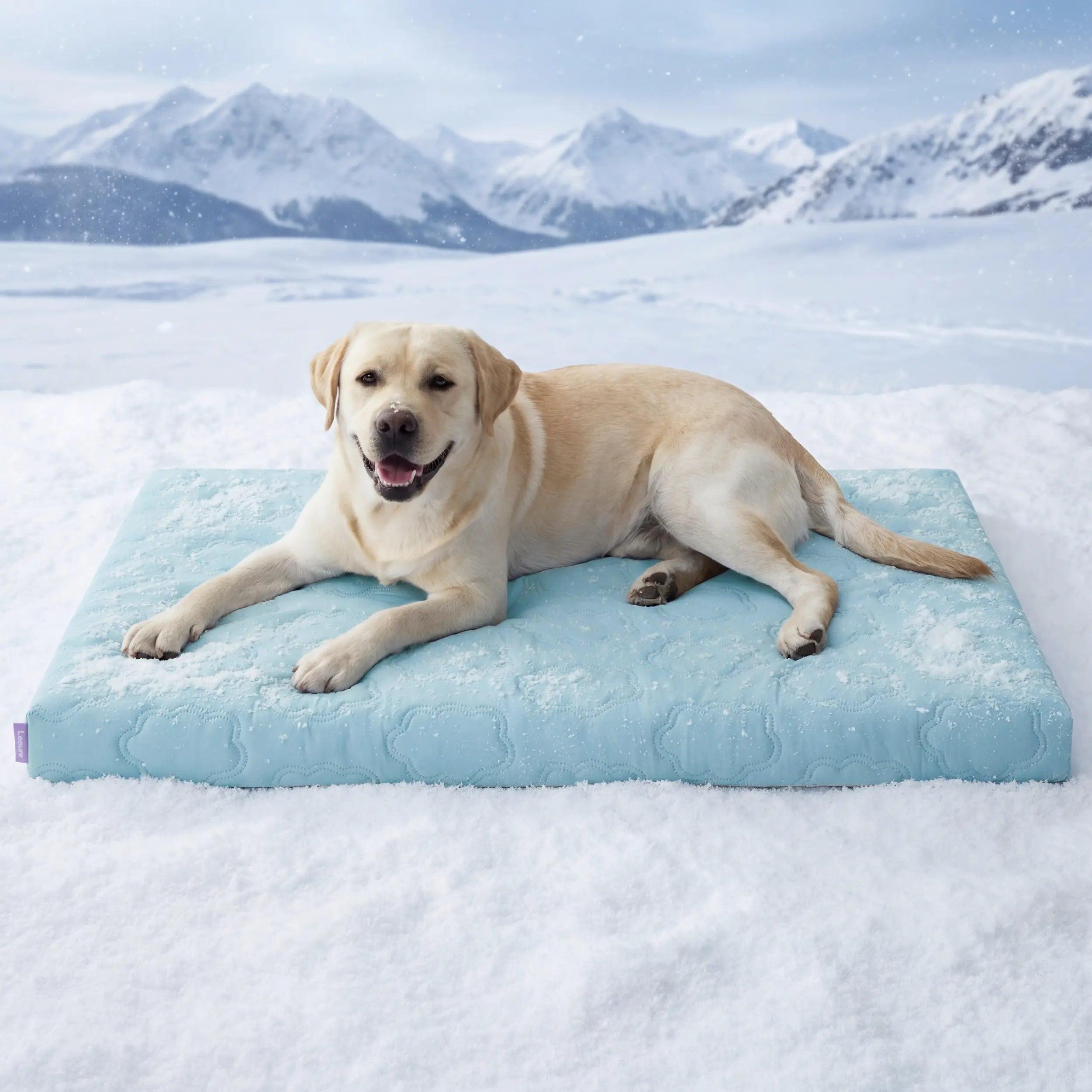 Lesure Cooling Orthopedic Dog Mat - Ultimate Comfort for Extra Large Dogs with Washable Cover and Non-Slip Design.