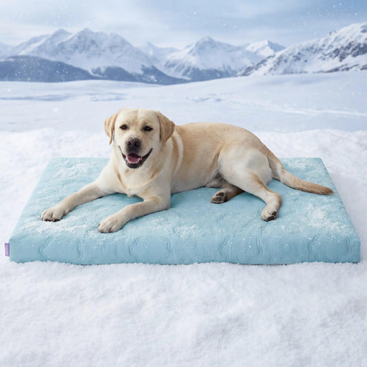 Lesure Cooling Orthopedic Dog Mat - Ultimate Comfort for Extra Large Dogs with Washable Cover and Non-Slip Design.