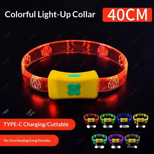 Illuminate Your Night Walks with Our Rechargeable LED Dog Collar - Reflective, Waterproof, and Adjustable for Every Pup.
