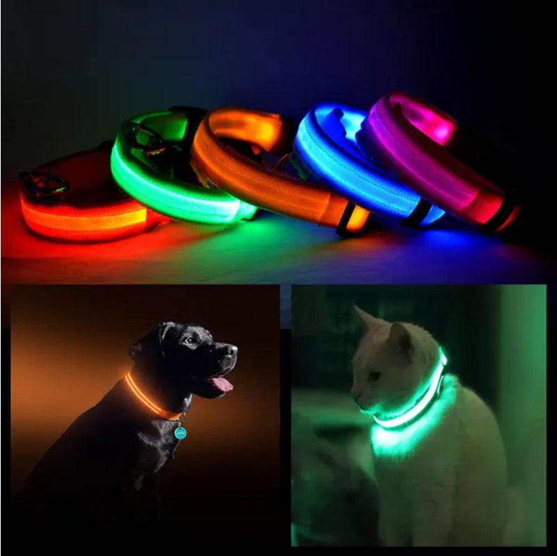 Illuminate Your Pet's Safety with the LED Safety Halo Collar - Stylish & Visible Up to 1000 Feet!.