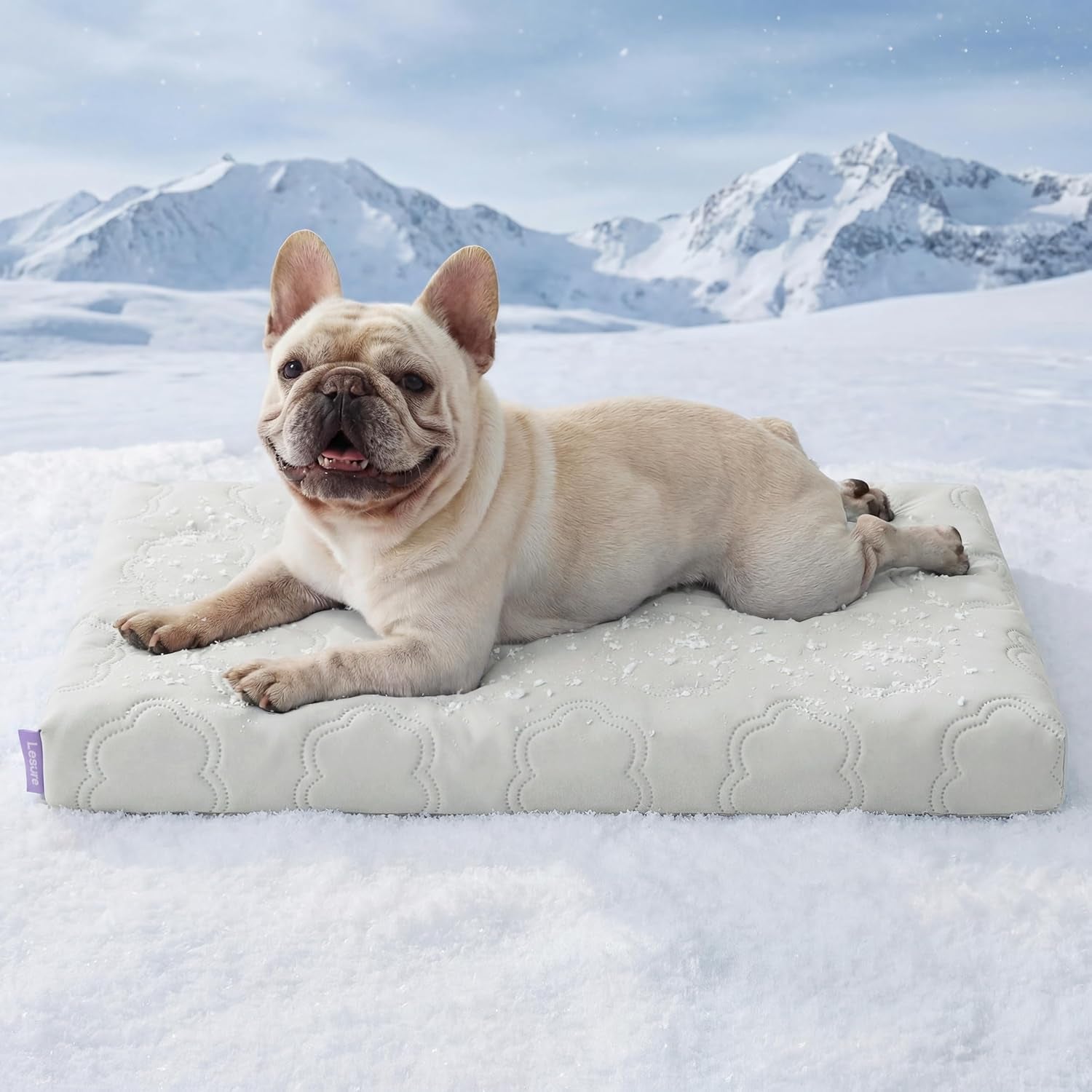 Extra Large Cooling Dog Bed with Q-Max>0.5 Cooling Mat, Removable Washable Cover, Breathable Orthopedic Egg Crate Foam, Non-Slip Summer Pad for Active, Senior, and Long-Haired Pets, 41 x 27 Inches