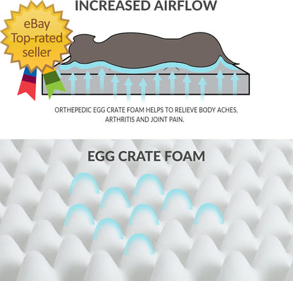 Orthopedic XL Dog Bed Large Sized Dog 42''X28'' Soft Waterproof Egg Crate Foam