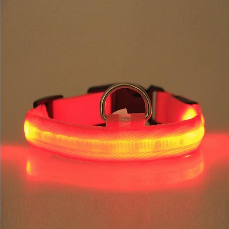 Illuminate Your Pet's Safety with the LED Safety Halo Collar - Stylish & Visible Up to 1000 Feet!.
