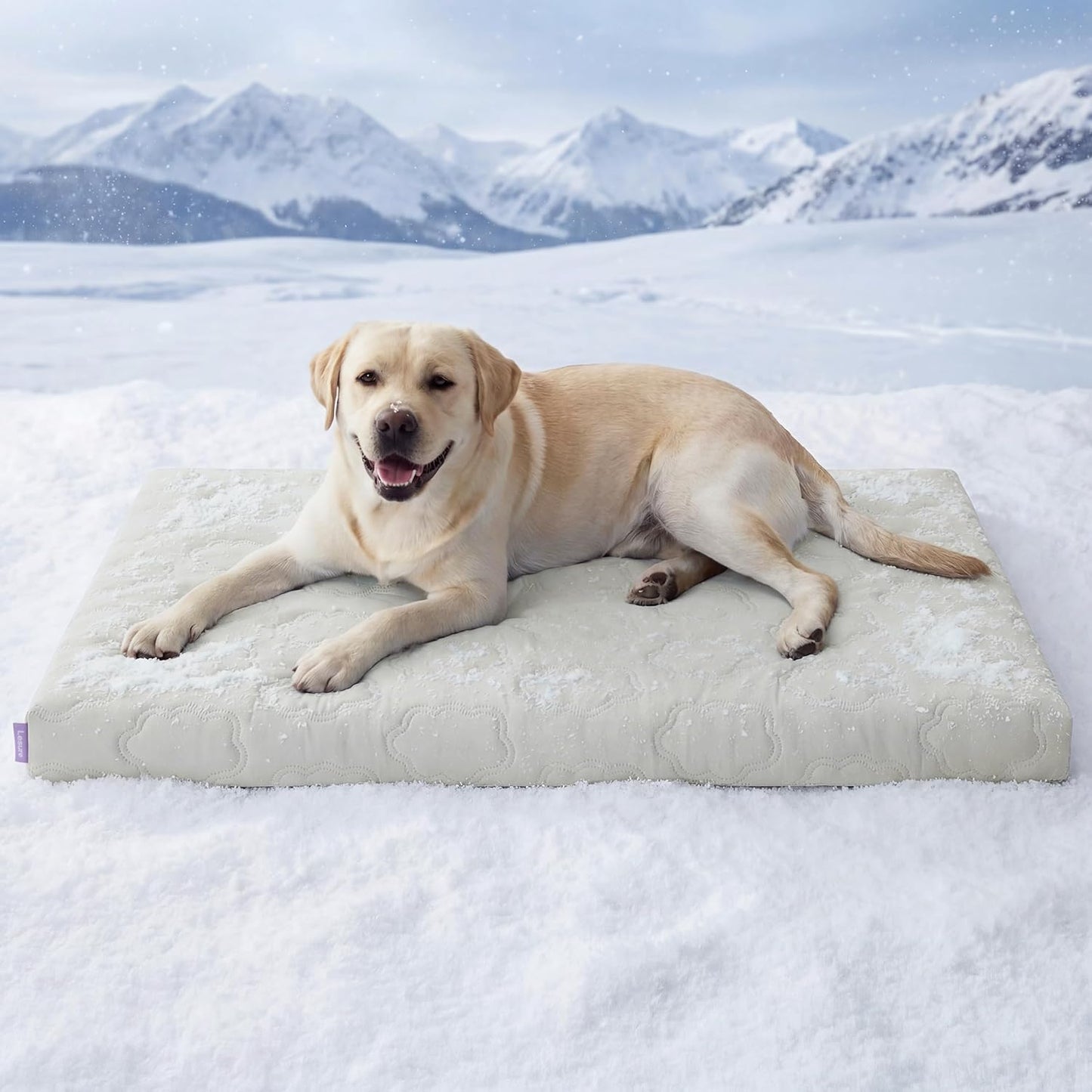 Extra Large Cooling Dog Bed with Q-Max>0.5 Cooling Mat, Removable Washable Cover, Breathable Orthopedic Egg Crate Foam, Non-Slip Summer Pad for Active, Senior, and Long-Haired Pets, 41 x 27 Inches