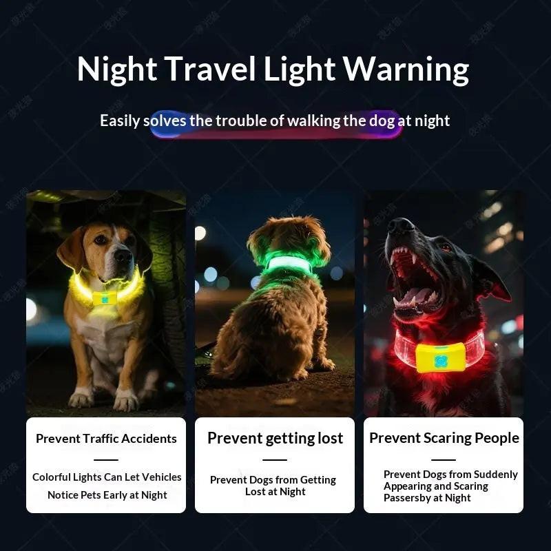 Illuminate Your Night Walks with Our Rechargeable LED Dog Collar - Reflective, Waterproof, and Adjustable for Every Pup.