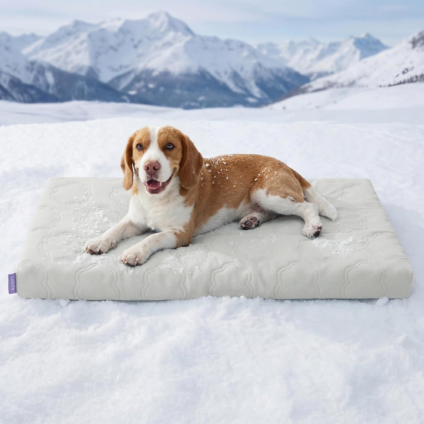 Extra Large Cooling Dog Bed with Q-Max>0.5 Cooling Mat, Removable Washable Cover, Breathable Orthopedic Egg Crate Foam, Non-Slip Summer Pad for Active, Senior, and Long-Haired Pets, 41 x 27 Inches