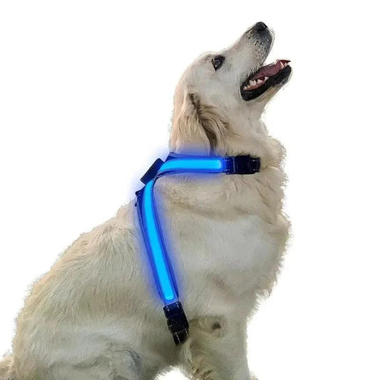 Illuminate Your Pet's Adventures: Color-Changing LED Dog Collar, Explosion-Resistant Reflective Vest, Adjustable Harness, and Leash Set.