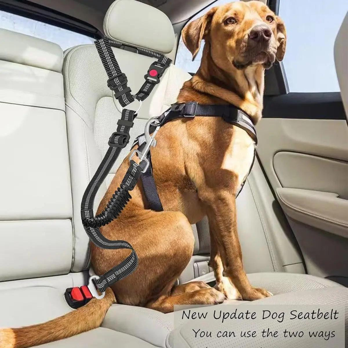Ensure Your Pet's Safety on the Road with Our Adjustable 2 Pack Pet Seatbelt Restraint for Dogs and Cats - Fast Shipping from USA!.