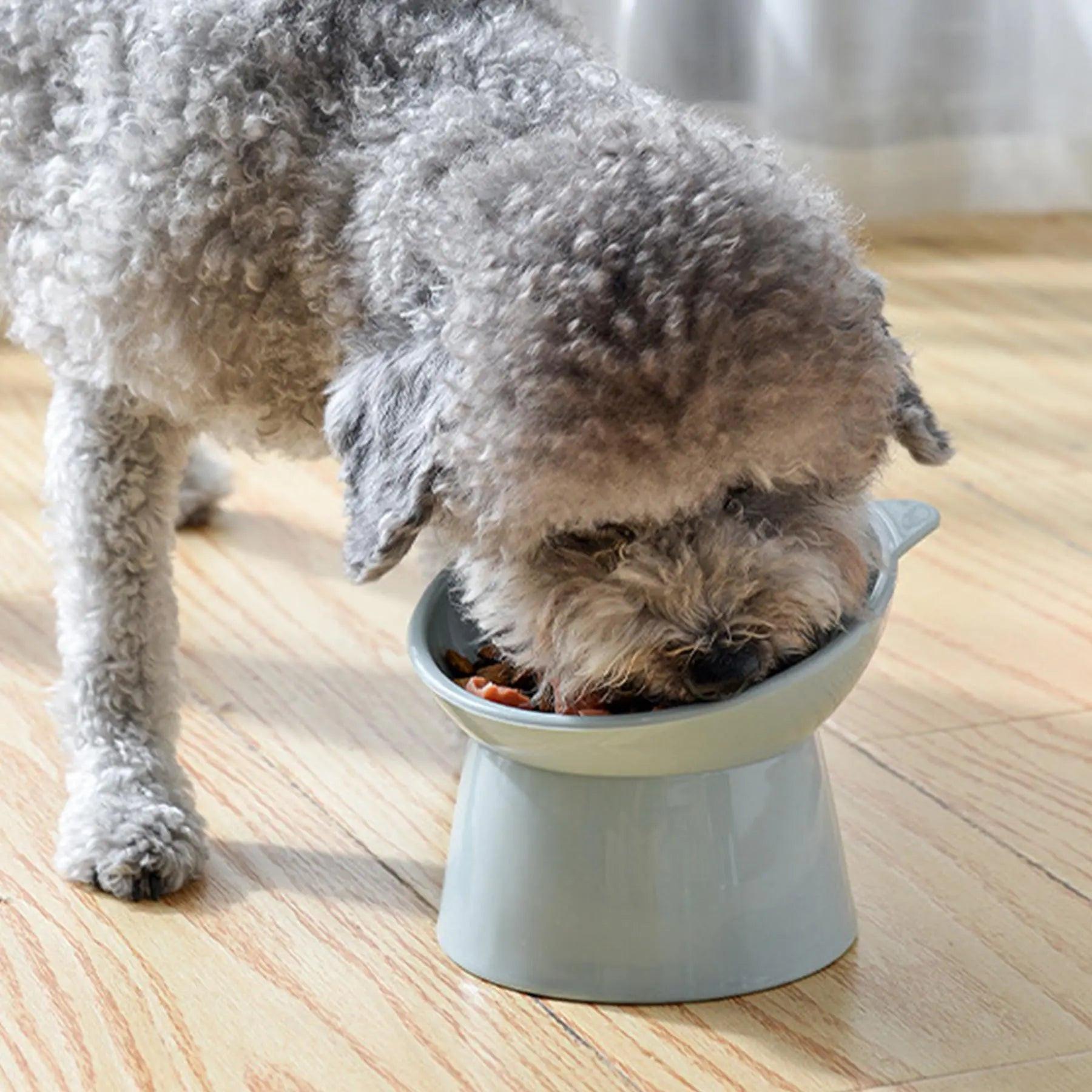 Elevate Your Pet's Dining Experience with Our Cat-Shaped Elevated Feeding Bowl - Perfect for Kittens and Dogs.