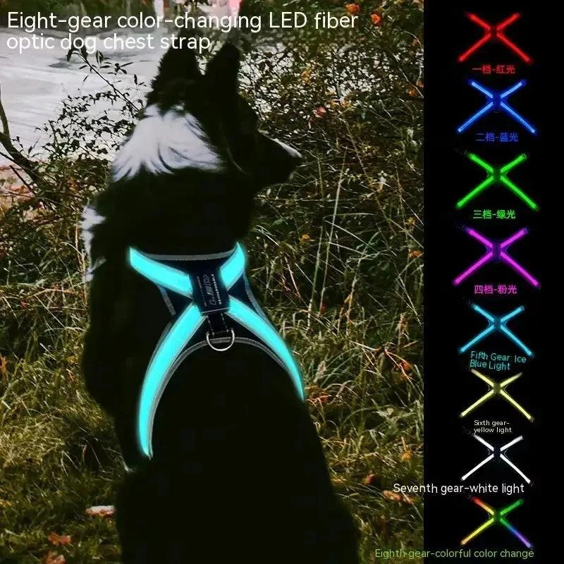 Illuminate Your Pet's Adventures: Color-Changing LED Dog Collar, Explosion-Resistant Reflective Vest, Adjustable Harness, and Leash Set.