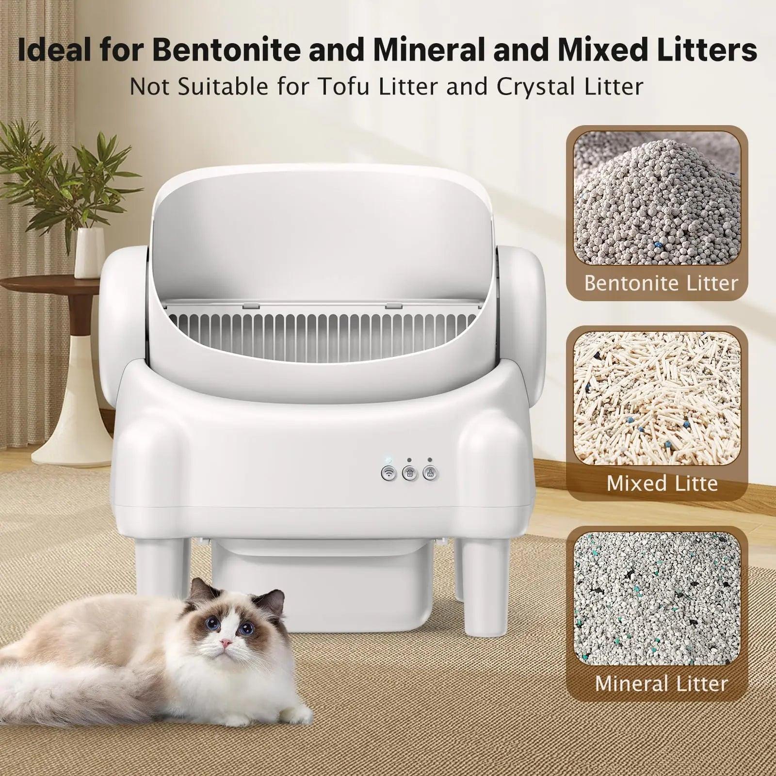 Revolutionize Your Cat's Litter Experience with the TAYACICY Smart Self-Cleaning Litter Box - App Controlled, Open-Top Design, and Advanced Safety Features in Cream White.