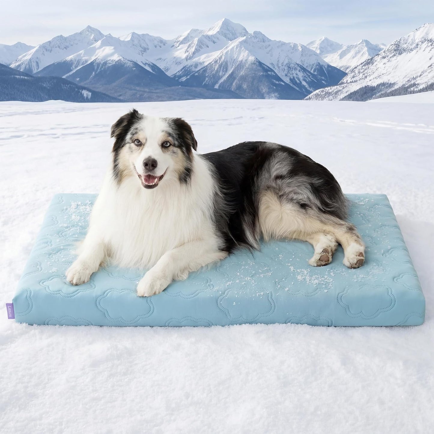 XL Cooling Dog Bed - Q-Max>0.5 Cooling Mat with Removable Washable Cover, Breathable Orthopedic Egg Crate Foam Non-Slip Summer Pad for Extra Large Active, Senior, and Long-Haired Pets, 41 x 27 Inches