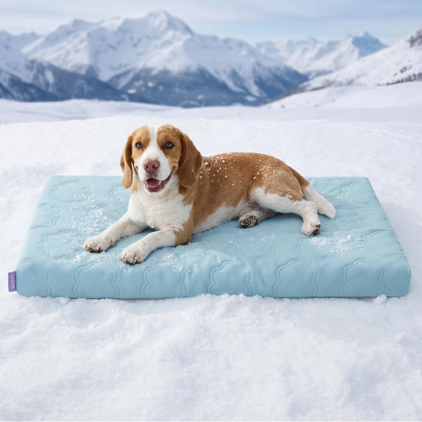 Extra Large Cooling Dog Bed with Q-Max>0.5 Cooling Mat, Removable Washable Cover, Breathable Orthopedic Egg Crate Foam, Non-Slip Summer Pad for Active, Senior, and Long-Haired Pets, 41 x 27 Inches