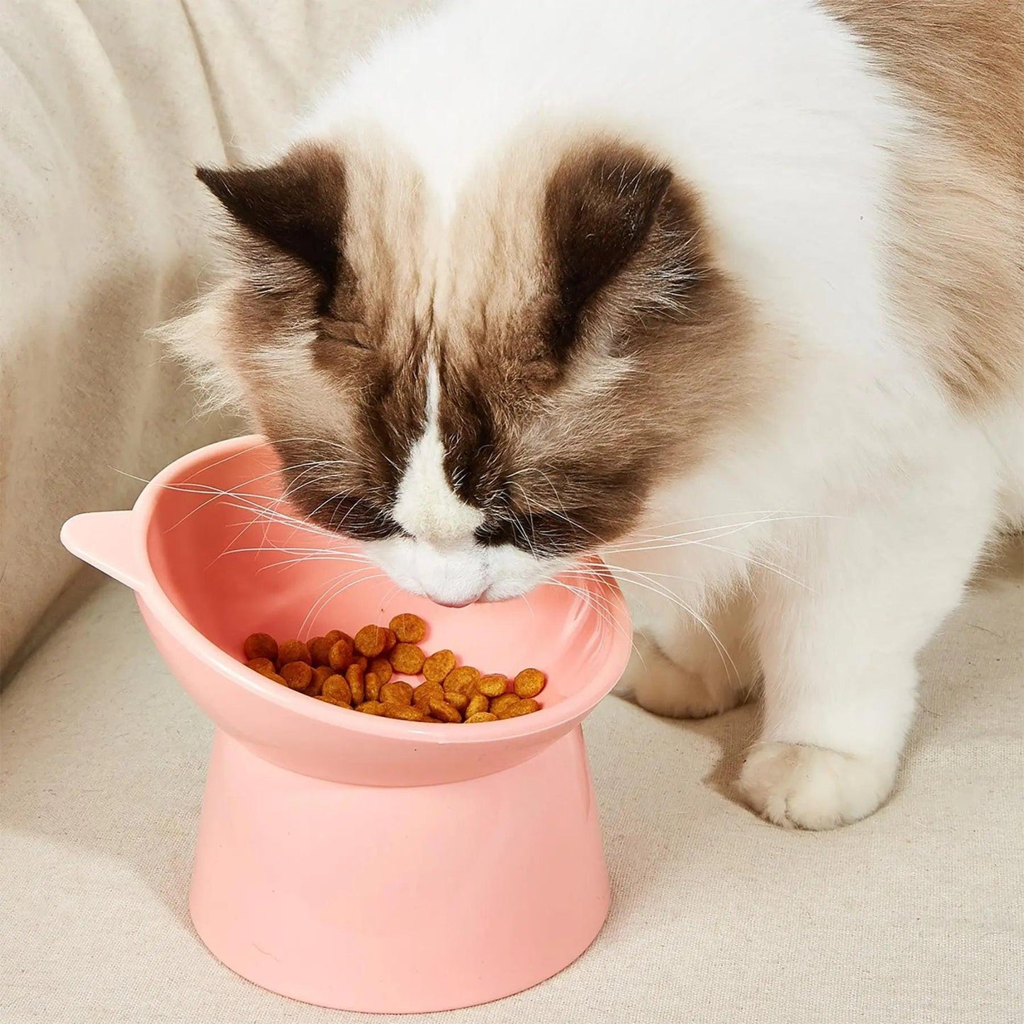Elevate Your Pet's Dining Experience with Our Cat-Shaped Elevated Feeding Bowl - Perfect for Kittens and Dogs.